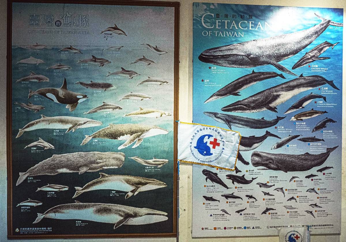 環教趴趴GO-環教設施場所介紹