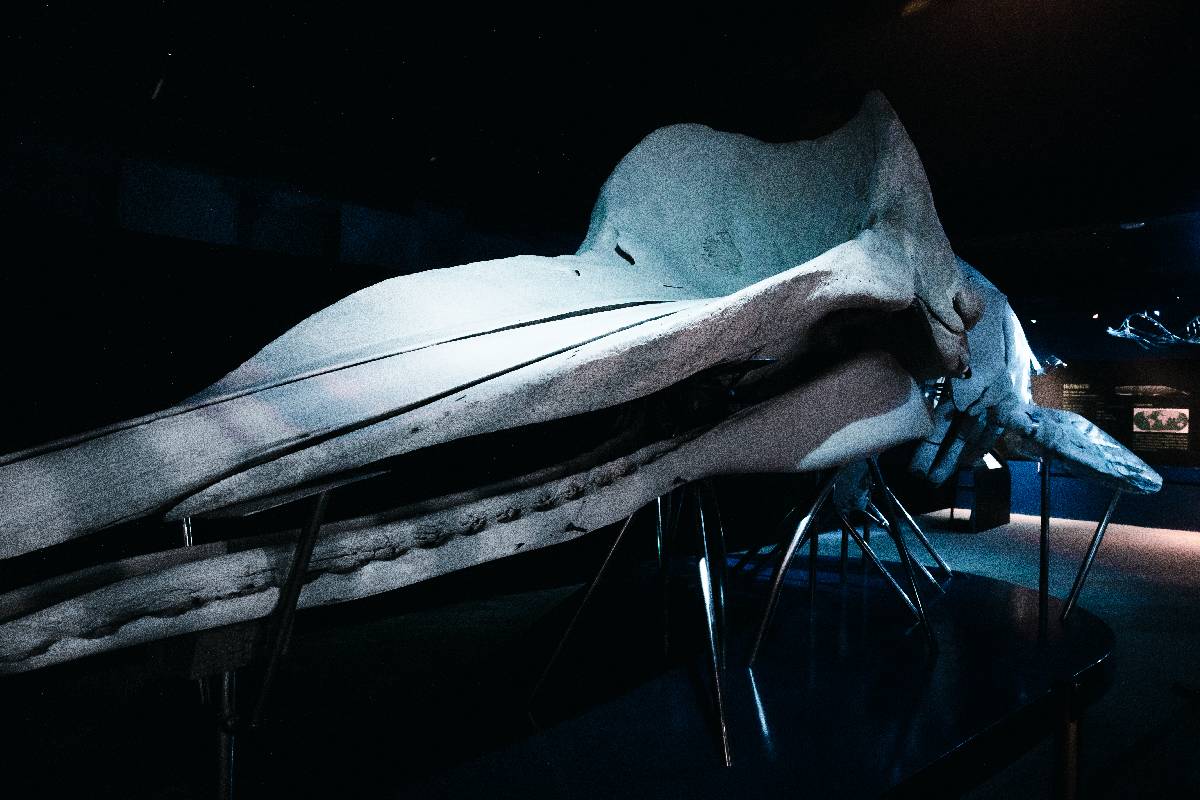 環教趴趴GO-環教設施場所介紹