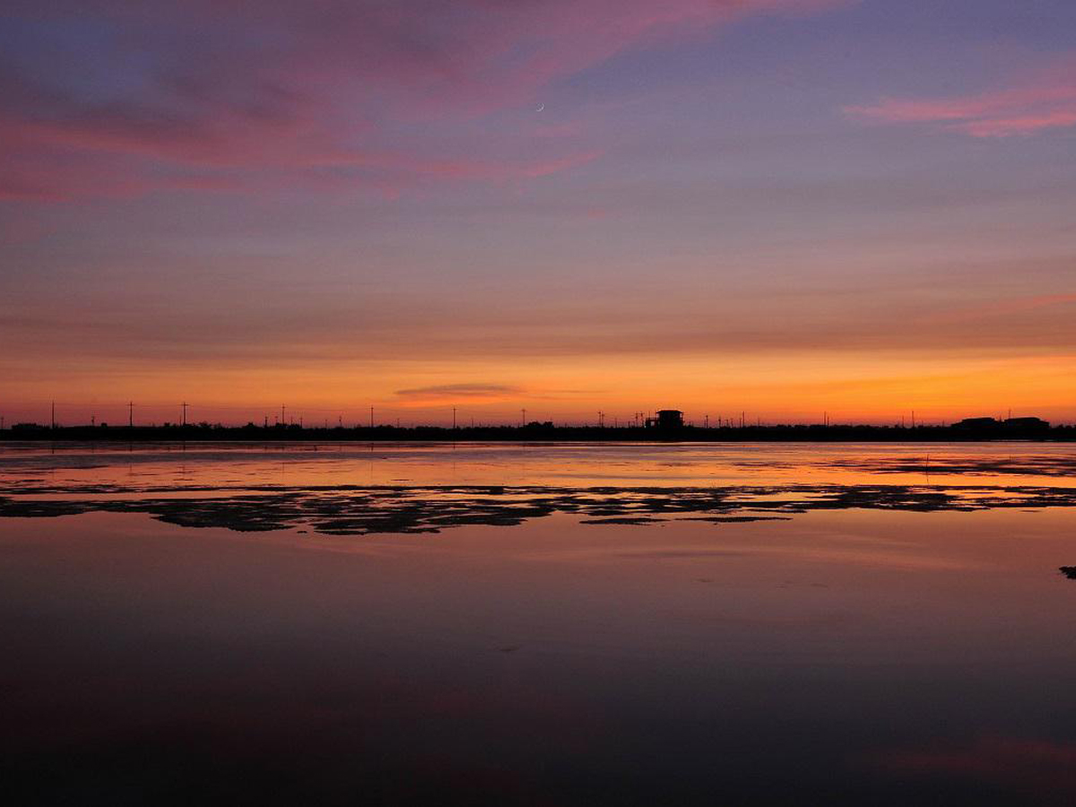 南布袋鹽田濕地夕陽