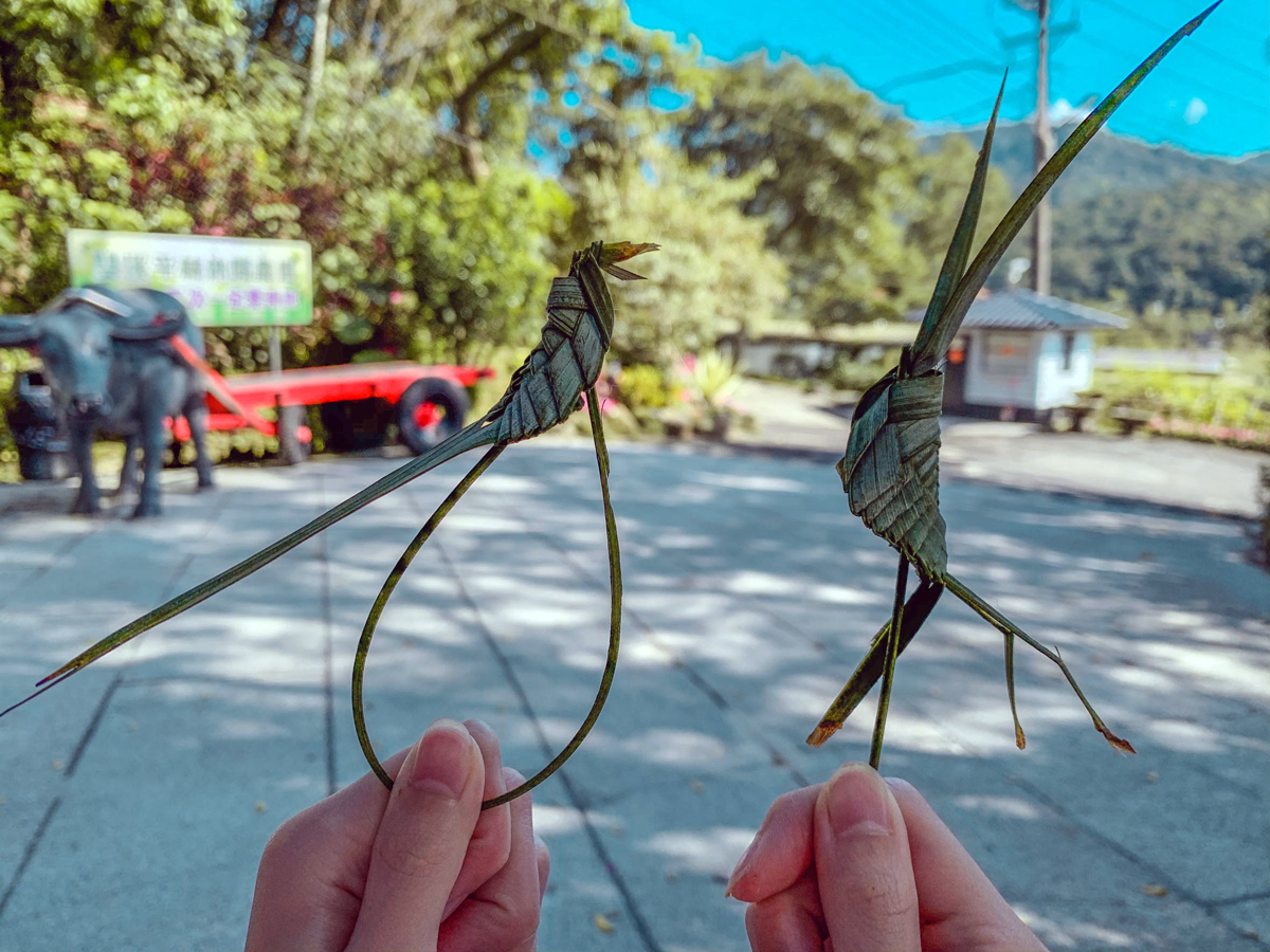 黃椰子葉編織成藍鵲（左）蚱蜢（右）