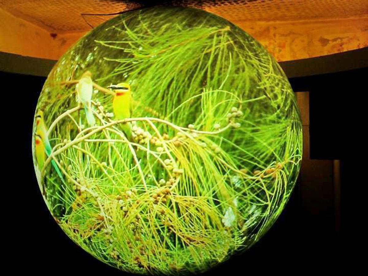 360度球型螢幕演繹生物多樣性
