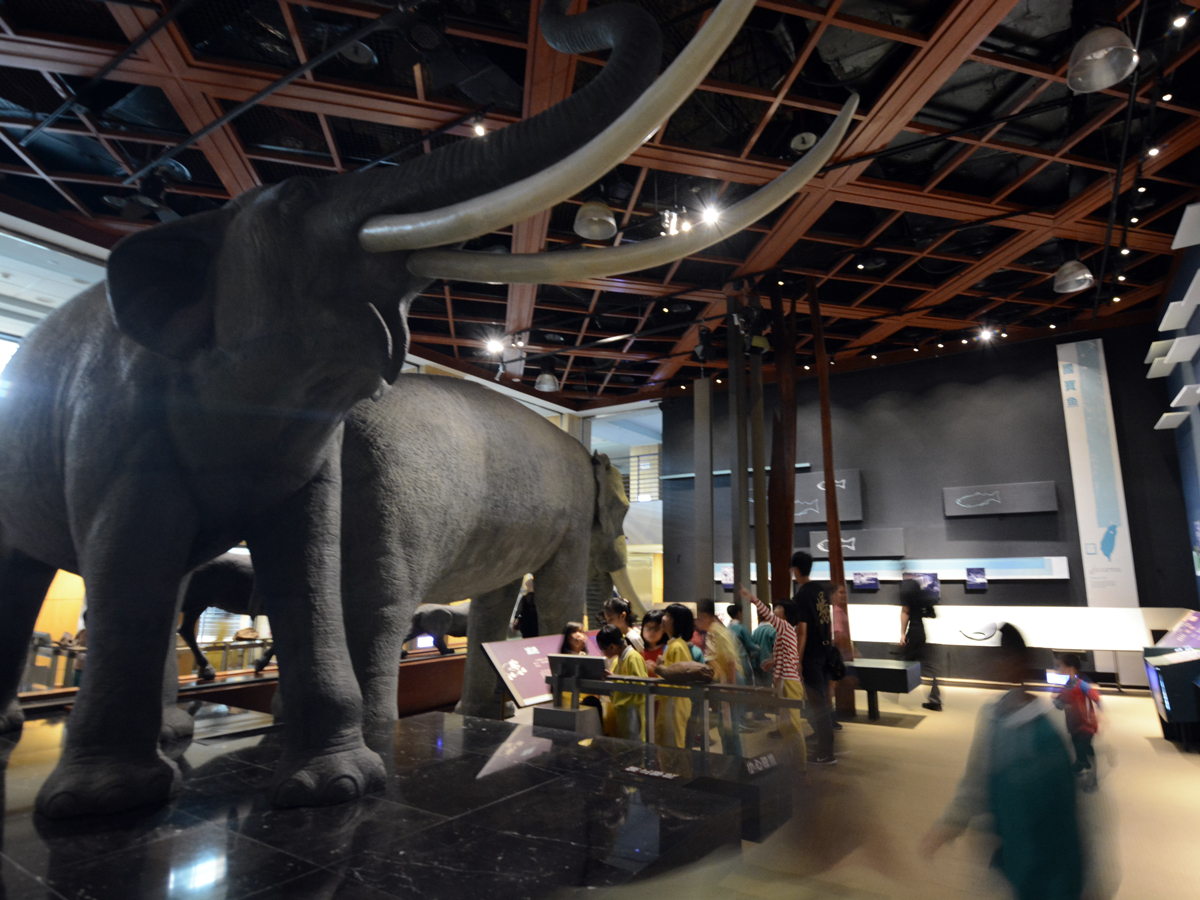 自然史展示廳-史前生物